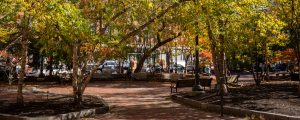 Post Office Plaza, Photo Credits: Serena Folding