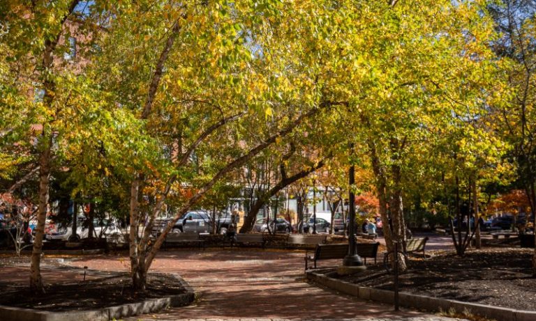 Post Office Plaza, Photo Credits: Serena Folding Post Office Plaza, Photo Credits: Serena Folding
