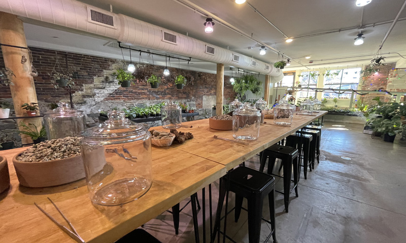 Terrarium, Photo Credit: Serena Folding Terrarium, Photo Credit: Serena Folding