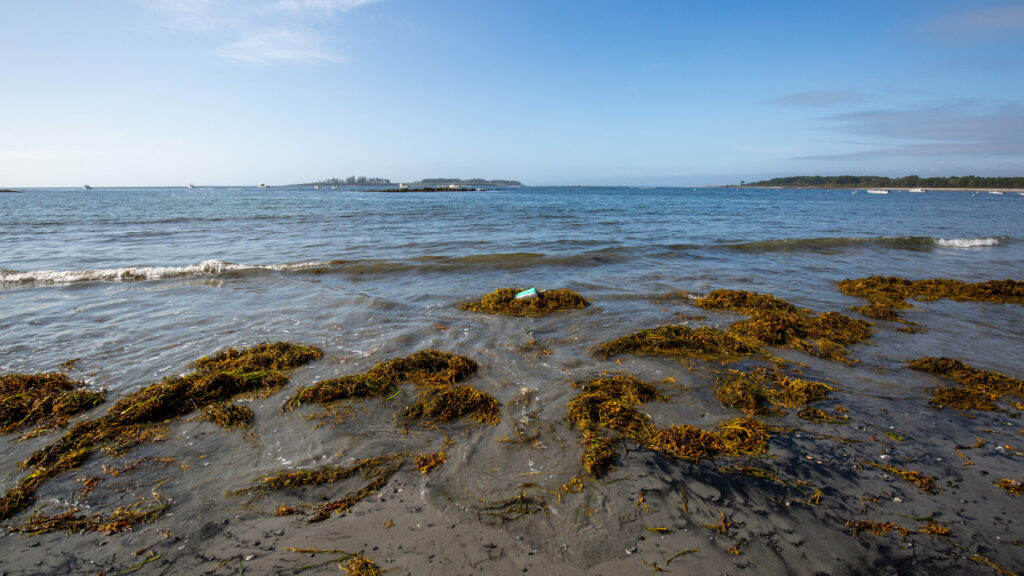 Cape Elizabeth - Kettle Cove Photo Credits: Serena Folding