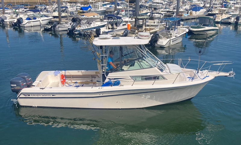Grady White Sailfish 'Perfect Fit'. Photo Credit: Fore River Sportfishing