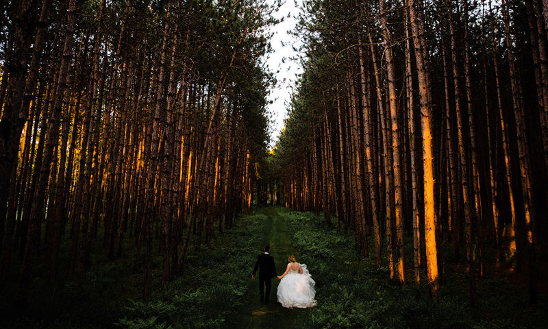 Bride + Groom in Tree Farm. Photo Credit: Bethany and Dan Photogrpahy