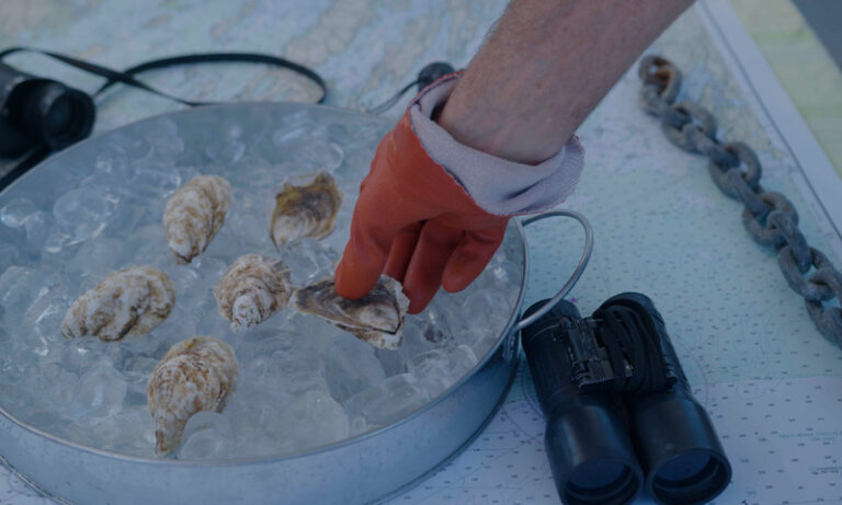 Oysters on Seacoast Tours of Freeport Cruise, Photo Credit: Knack Factory