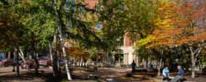 Portland Park, Photo Credits: Serena Folding