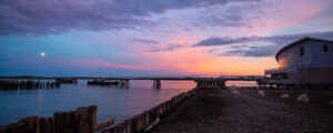Ocean Gateway sunset, Photo Credits: Serena Folding