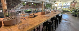 Terrarium interior, Photo Credits: Serena Folding