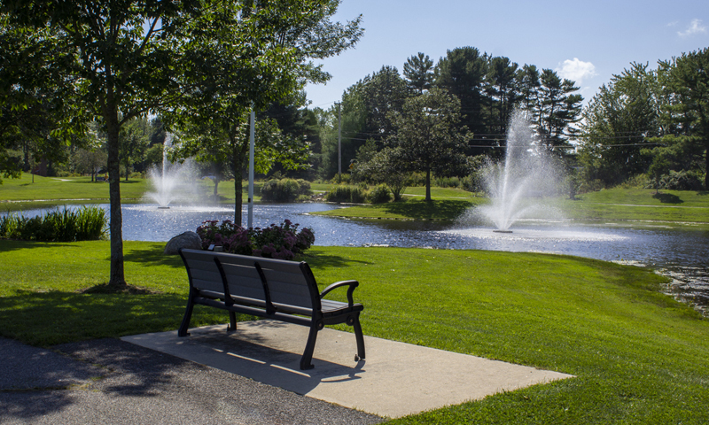 Park bench, Photo Credits: Serena Folding Park bench, Photo Credits: Serena Folding