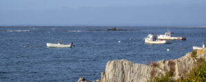 Boats anchored, Photo Credits: Serena Folding