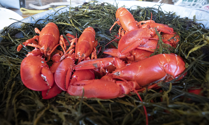 July 13, 2022 - Portland, Maine, USA: National Governor’s Association summer meeting in Portland, Maine. Photo by Ian Wagreich / © Ian Wagreich Photography Lobsterbake, Photo by ©Ian Wagreich Photography