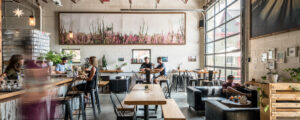 Indoors Root Wild seating, Photo Credit: PGM Photography
