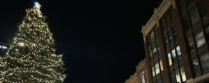 Monument Square Tree at night. Photo Credit: Lauren Peters at Visit Portland