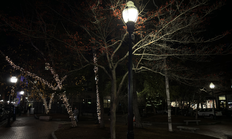 Lights in a park. Photo Credit: Lauren Peters at Visit Portland