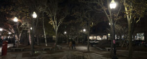 Lights in a park. Photo Credit: Lauren Peters at Visit Portland