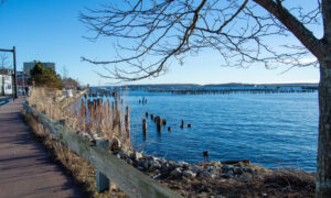 Portland Ocean; Photo Credit: Lauren Peters at Visit Portland