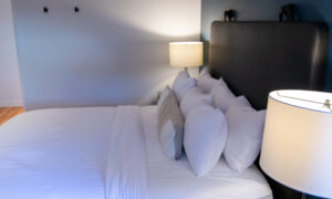 Docent's Collection, Photo by: Lauren Peters