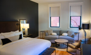 Docent's Collection, Photo by: Lauren Peters