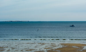 Beach views, Photo Credit: Lauren Peters at Visit Portland