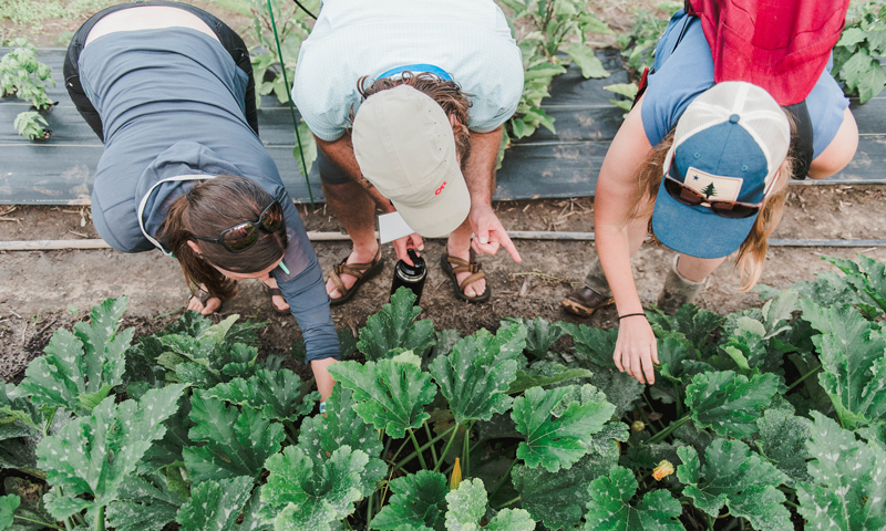 Gardening at The Ecology School at River Bend Farm. Photo Credit: Christina Wnek