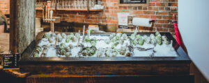 Maine Oyster Co Display; Photo Credit: Maine Oyster Company