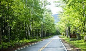 Driving through forest, Photo Credit: Capshore Photography