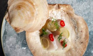 LongfellowF&B; Photo Credit: Carley Rudd