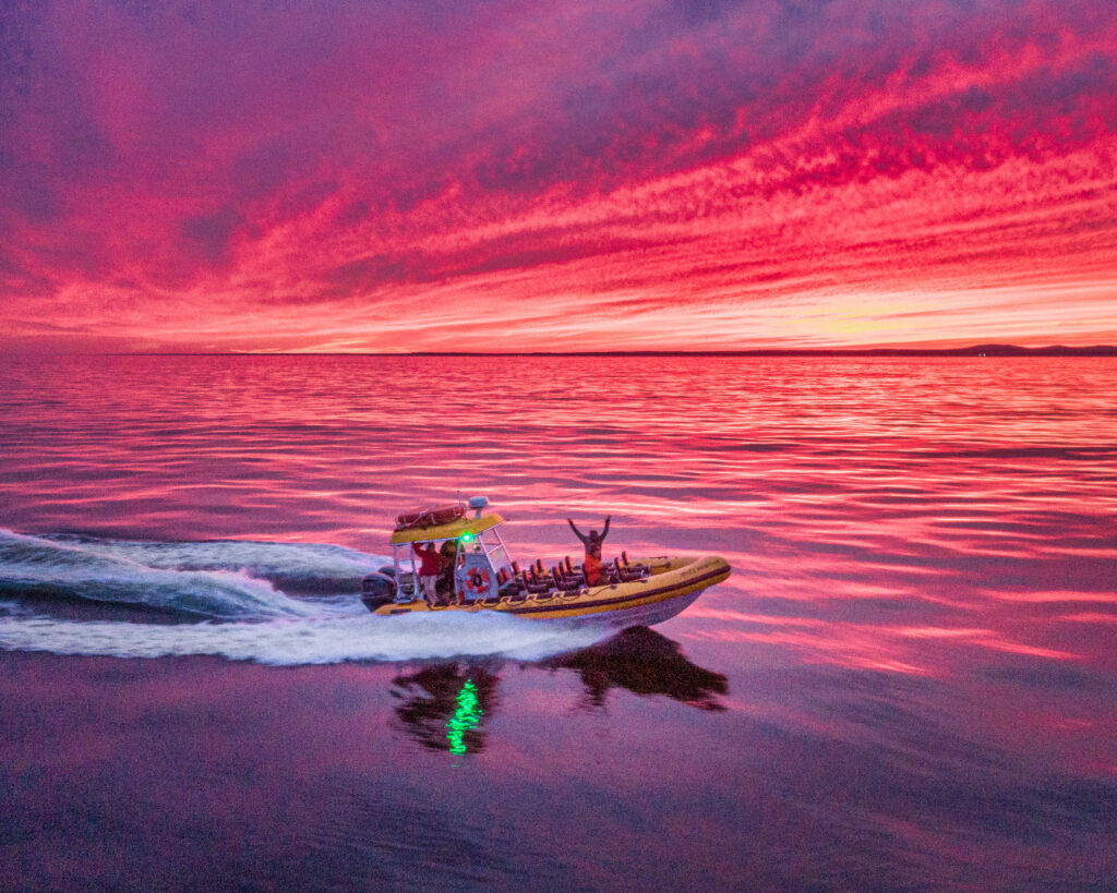 BOON ISLAND SUNSET RIB; Photo courtesy of New England Eco Adventures
