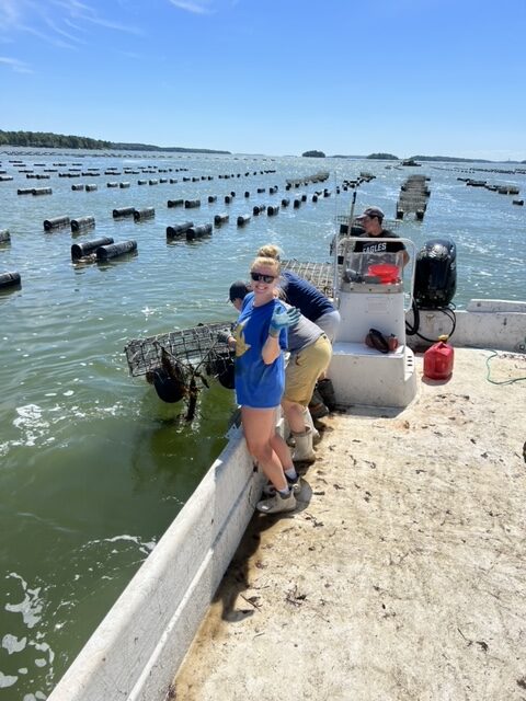 OYSTER Farm; Photo courtesy of New England Eco Adventures OYSTER Farm; Photo courtesy of New England Eco Adventures