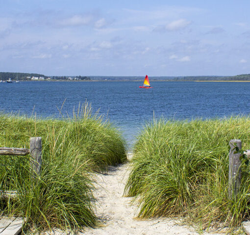 Ferry Beach , Photo Credits: Serena Folding Ferry Beach, Photo Credits: Serena Folding