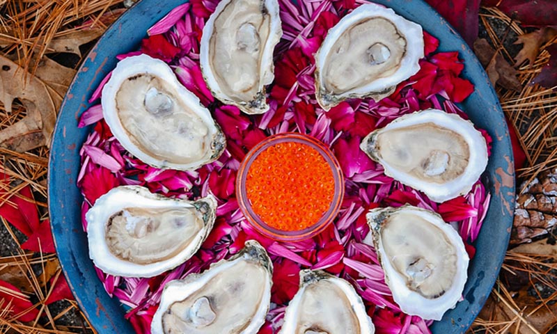 Oysters. Photo Credit: The Briny Babe, LLC