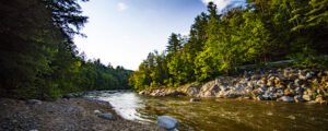 River winding through green forest; Photo credit: Capshore Photography
