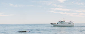 Cap'n Fish Cruises Boat Tour on the sea; Photo Credit: Megan Clouse