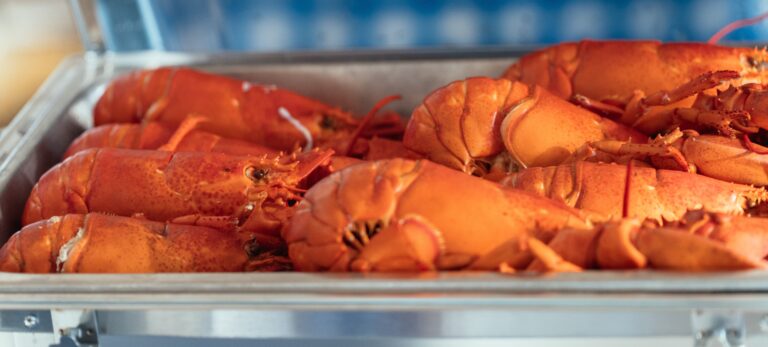 Lobsterbake at Island Lobster Co., Photo Credit: Digital Edge