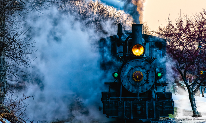 Train moving through the snow; Photo Credit: Darleen Frances