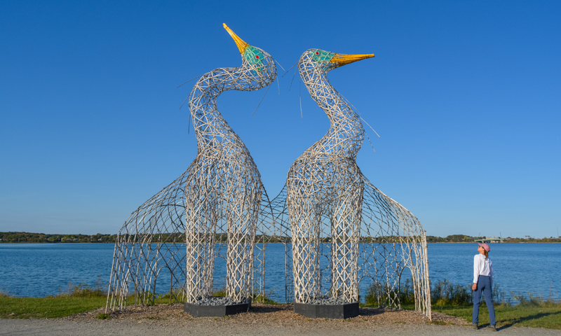 Bird art sculptures along Back Cove; Photo Credit: Lauren Witt at Visit Portland Bird art sculptures along Back Cove; Photo Credit: Lauren Witt at Visit Portland
