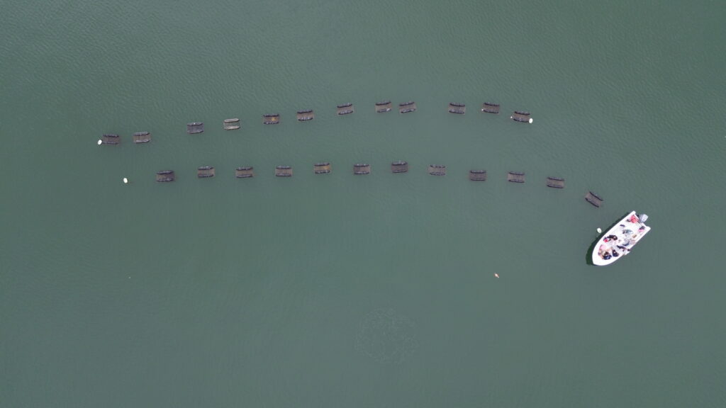 Nauti Sisters Sea Farm Oyster Farm Tour. Photo Credit: Emily Zolo