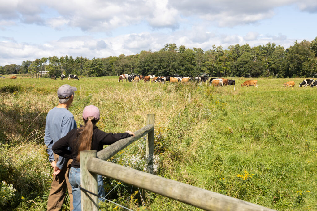 Wolfe's Neck Center Dairy. Photo Credit: Wolfe's Neck Center