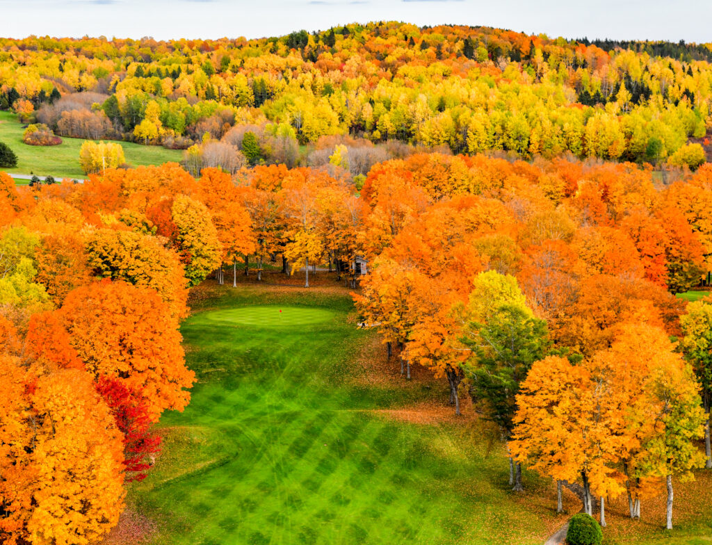 Fall Foliage in Aroostook County. Photo Credit: Paul Cyr