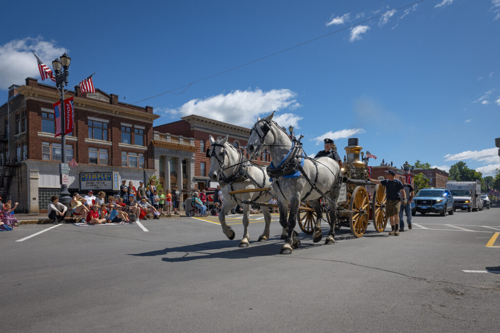 Horses. Photo Courtesy of Aroostook County Tourism