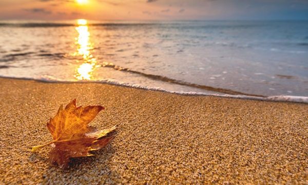 Fall for Beach Bliss - Photo Credit: istock photo