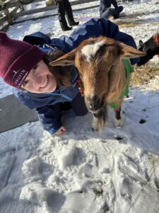 New Year's Day Goat Yoga Special - Photo Credit: Ashley Flowers Yoga