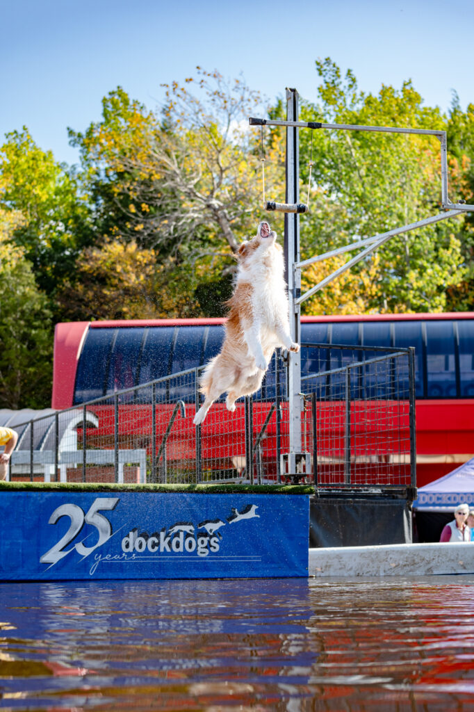 Ruff Mountain Lodging Special - Photo Credit: Sunday River