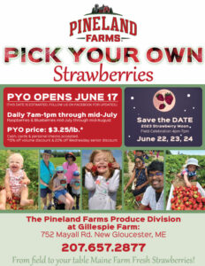 Pick Your Own Strawberries - Photo Courtesy of Pineland Farms