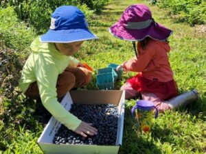 Play Days at Pineland -4-5 y/o - Photo Courtesy of Pineland Farms