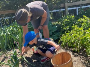 Harvest Lunch - Photo Courtesy of Pineland Farms