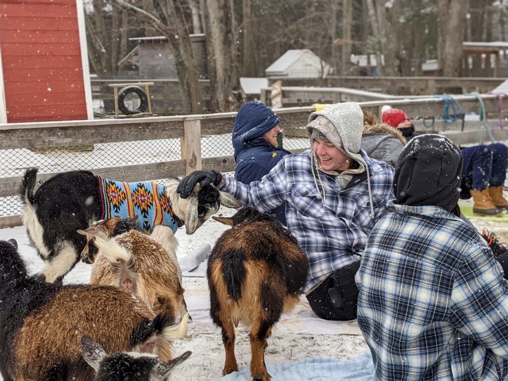 Goat Yoga - Fall + Winter - Photo Courtesy of Ashley Flowers Yoga Goat Yoga - Fall + Winter - Photo Courtesy of Ashley Flowers Yoga