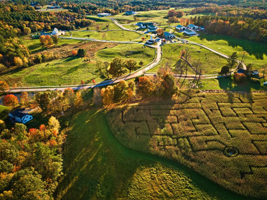 Corn Maze and Pumpkin Patch - Photo Credit: Pineland Farms