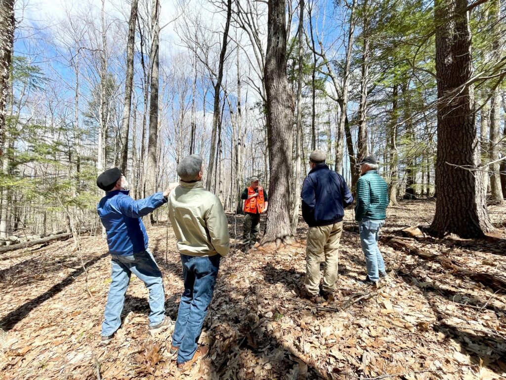 Reading the Forested Landscape - Photo Credit of Pineland Farms