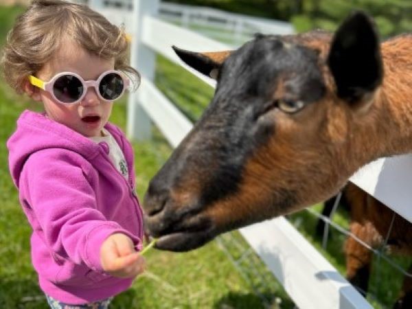 Family Farmyard Fun - Photo Courtesy of Pineland Farms