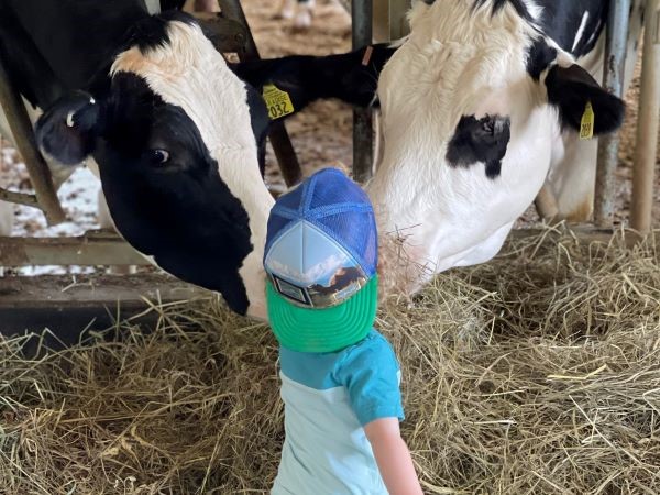 Udderly Amazing - Photo Courtesy of Pineland Farms