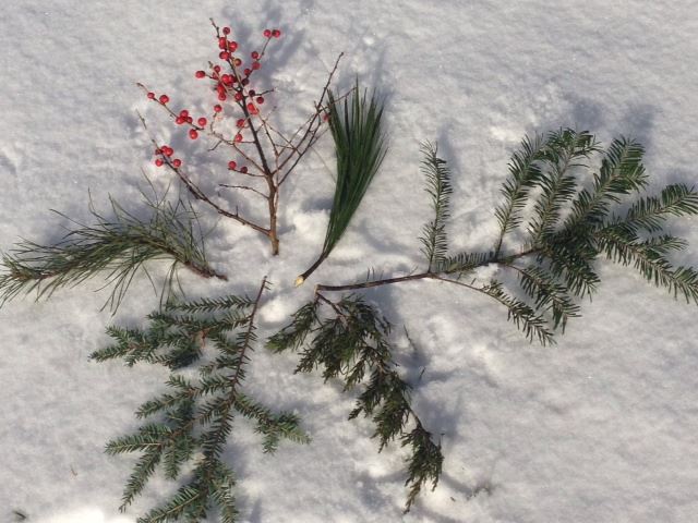 Holiday Balsam Balls - Photo Courtesy of Pineland Farms